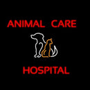 Animal Care Hospital Logo Handmade Art Neon Sign