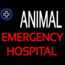 Animal Emergency Hospital Handmade Art Neon Sign