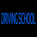 Blue Driving School Handmade Art Neon Sign