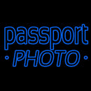Blue Passport Handmade Art Neon Sign