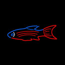 Blue Red Fish Handmade Art Neon Sign
