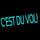 Cest Du Vol Handmade Art Neon Sign