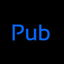 Cursive Pub Handmade Art Neon Sign