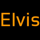 Elvis Handmade Art Neon Sign