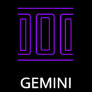Gemini Icon Handmade Art Neon Sign