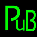 Green Pub Handmade Art Neon Sign