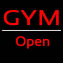 Gym Script1 Open White Line Handmade Art Neon Sign