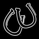 Horse Shoe Pair Handmade Art Neon Sign