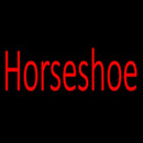 Horseshoe Red Handmade Art Neon Sign