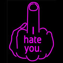 I Hate You Fuck Off Handmade Art Neon Sign