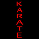 Karate Handmade Art Neon Sign