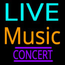 Live Music Concert Acoustic Party Handmade Art Neon Sign