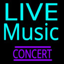 Live Music Concert Handmade Art Neon Sign
