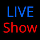 Live Show Handmade Art Neon Sign