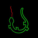 Lizard Dragon Logo Handmade Art Neon Sign