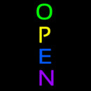 Multi Colored Handmade Art Neon Sign