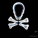 Skull and Crossbones Neon Sculpture