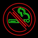 No Smoking Handmade Art Neon Sign