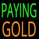 Paying Gold Handmade Art Neon Sign