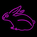 Pink Rabbit Handmade Art Neon Sign