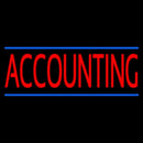 Red Accounting Blue Lines Handmade Art Neon Sign