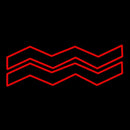 Red Aquarius Handmade Art Neon Sign