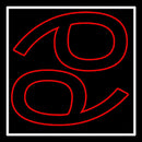 Red Cancer White Border Handmade Art Neon Sign