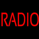 Red Radio Music Handmade Art Neon Sign