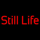 Red Still Life Handmade Art Neon Sign
