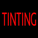 Red Tinting Handmade Art Neon Sign