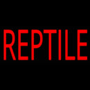 Reptile Block Handmade Art Neon Sign