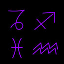 Set of Zodiac Sagittarius Capricorn Aquarius Pisces Handmade Art Neon Sign