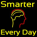Smarter Every Day Handmade Art Neon Sign
