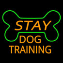Stay Dog Training Handmade Art Neon Sign