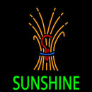 Sunshine With Logo Handmade Art Neon Sign