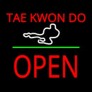 Tae Kwon Do Logo Block Open Green Line Handmade Art Neon Sign