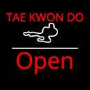 Tae Kwon Do Logo Script1 Open White Line Handmade Art Neon Sign