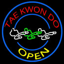 Tae Kwon Do Handmade Art Neon Sign