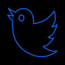Twitter Bird Logo Handmade Art Neon Sign