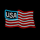 Professional  Usa Neon Sign