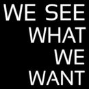 We See What We Want Handmade Art Neon Sign