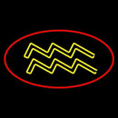 Yellow Aquarius Red Border Handmade Art Neon Sign