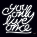 You Only Live Once Neon Sign