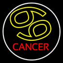 Zodiac Cancer White Border Handmade Art Neon Sign