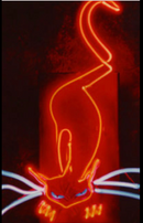 Cat Handmade Art Neon Sign