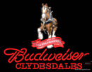 Custom Budweiser Clydesdales Neon Sign 