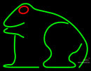 Frog Neon Sign