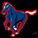 Horse Neon Sign x