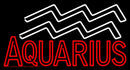 Red Aquarius Zodiac Handmade Art Neon Sign