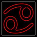 Red Cancer White Border Handmade Art Neon Sign